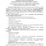 2648-p маршрутиз при гриппе